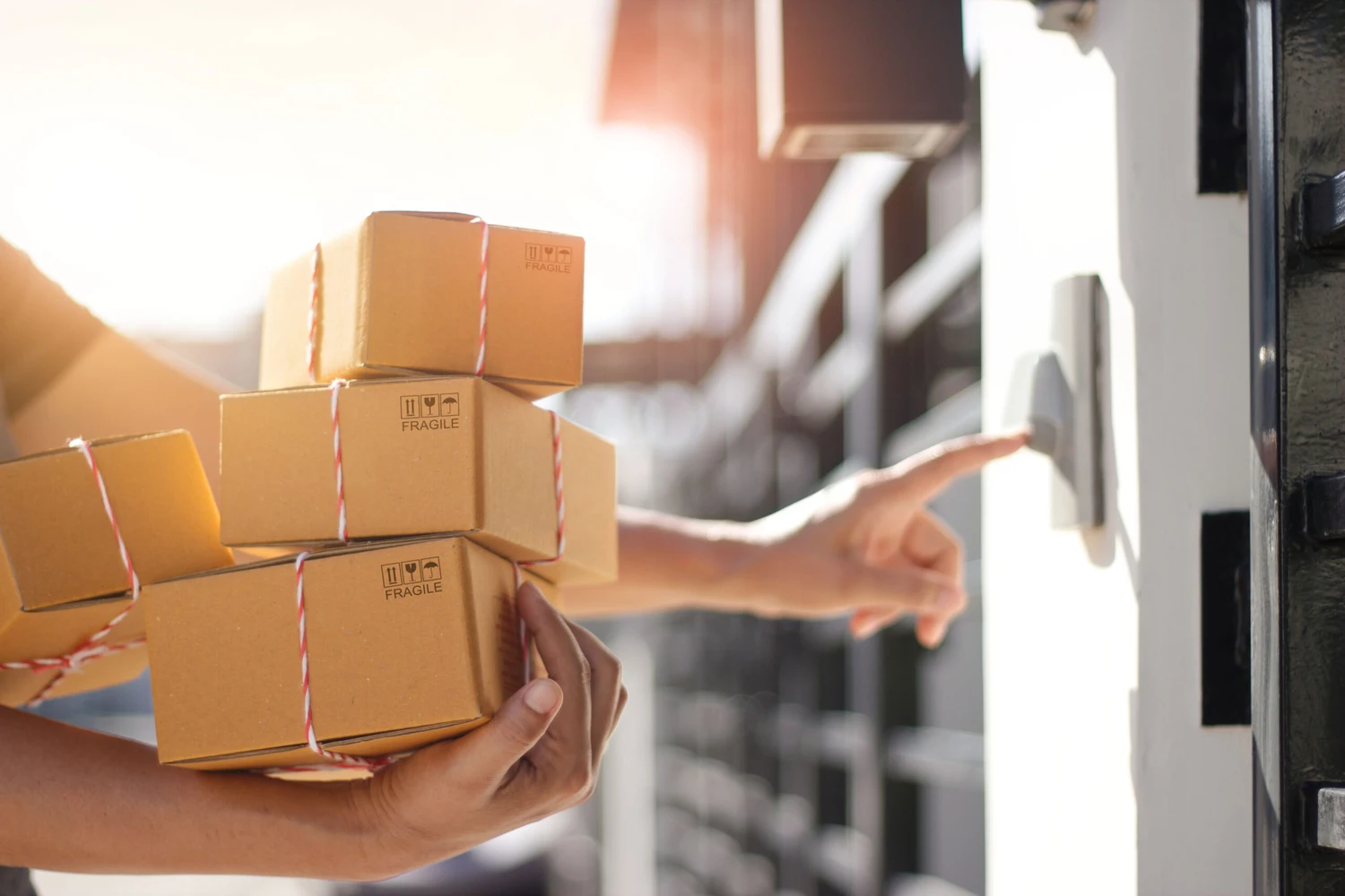 Final Delivery and Support